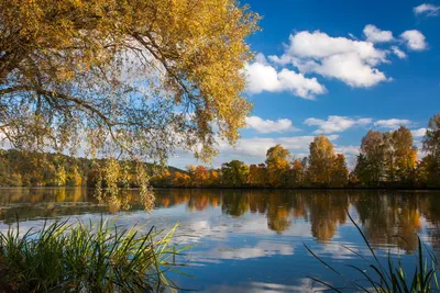 Река осенью. :: Наталья – Социальная сеть ФотоКто