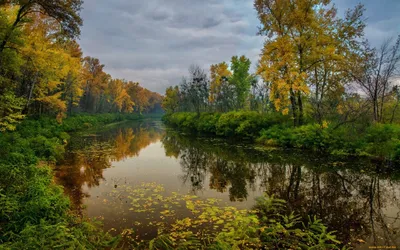 Река осенью. :: Валентина Домашкина – Социальная сеть ФотоКто