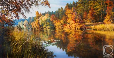 Foto Stock Горная река осенью на Урале | Adobe Stock