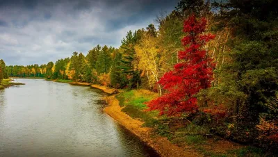 Фотографии Осень Природа Леса Небо Пейзаж Реки дерево сезон года
