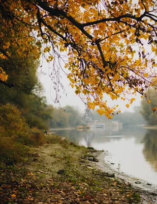 Осенью пейзаж. Река на закате осени в лесу Стоковое Фото - изображение  насчитывающей изумлять, ландшафт: 185154188