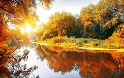 Осень река - 86 фото