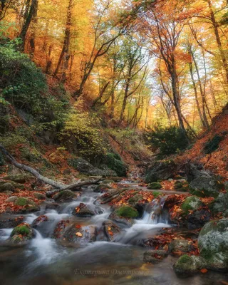Осень река (59 фото) - 59 фото