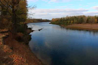 Файл:Lob Река Корень Осень.jpg — Википедия