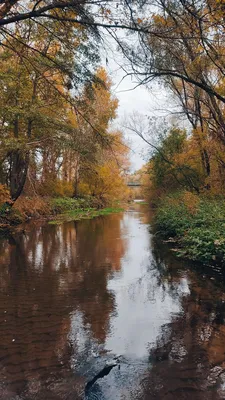 Река Осенью И Спокойствие — стоковые фотографии и другие картинки Без людей  - Без людей, Бунтарство, Вечерние сумерки - iStock