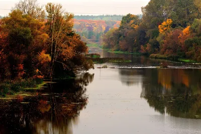 Осенний пейзаж с рекой (60 фото) - 60 фото