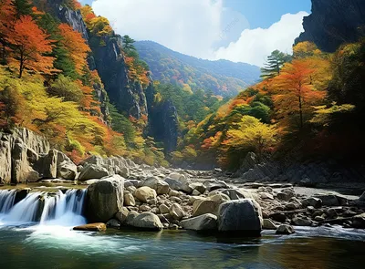 Река среди гор и лесов осенью · Бесплатные стоковые фото
