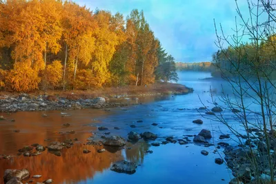 Бесплатное изображение: река, осень, берег реки, побережье, песок, вода,  пейзаж, канал, природа, рассвет