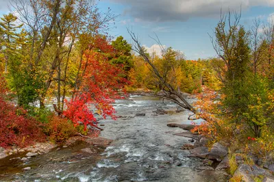 Лес река осень горы очень красиво …» — создано в Шедевруме
