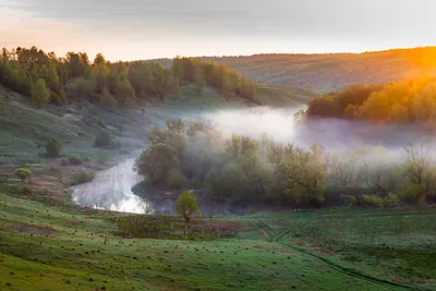 Pro Осётр-реку. Photographer Peshkov Valeriy