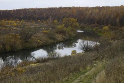 Река Осетр. Зарайск