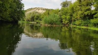 Река Оскол. Закат 🤩 | Сплетни города Валуйки | ВКонтакте