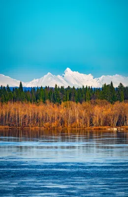 Река Печора (15 фото) | Вакбра /Природа Севера/Респ. Коми | Дзен