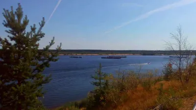 Коми и НАО поборются за экологию реки Печоры - Усинск Онлайн