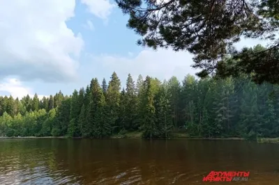 ЗАПОВЕДНИК РЕКА ПЕЧОРА | РИА Новости Медиабанк