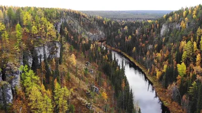 В НАО река Печора освободила от воды последний населенный пункт - ТАСС