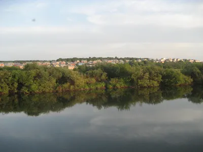 Река Пьяна в Нижегородской области — фото, описание на GoRu