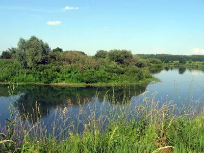 Река Пьяна - Нижегородская область, описание, карта, сплав и рыбалка