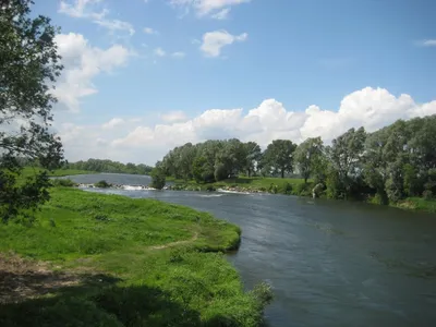 Фотогалерея - Речные экосистемы - река Пьяна - Природа Республики Мордовия