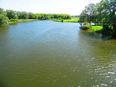 File:Река Пьяна у поселка Бутурлино.jpg - Wikimedia Commons