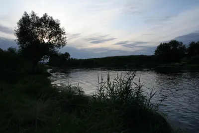 Река Пьяна. Нижегородская область. | Пикабу