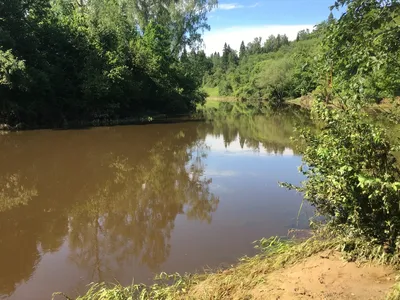 Река Пьяна в Нижегородской области — фото, описание на GoRu