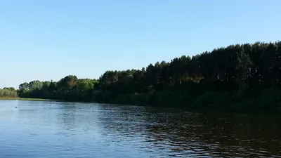 Пьяна. Перевоз - отличное место для рыбалки в Нижнем Новгороде | Рыболов НН