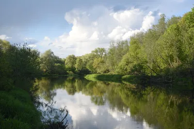 Река Протва оказалась загрязнена выше нормы в десятки раз