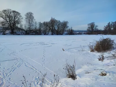 Река Протва. :: Александра Климина – Социальная сеть ФотоКто