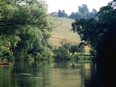 Сплав по реке Протва на 1 или 2 дня - турклуб Радужный путь Радужный путь