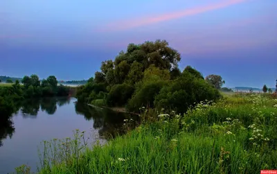 Фото: река Протва в Верее. Фотограф Руслан Хакимов. Пейзаж. Фотосайт  Расфокус.ру