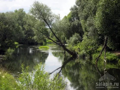 Сплав по реке Протва! 2021 - YouTube