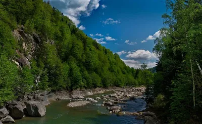 Яремче, Украина, река Прут | Yaremche, Ukraine, river Prut | Flickr