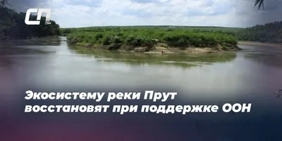 Горная река прут и водопад пробий в яремче карпаты украина | Премиум Фото