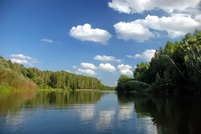 Сплав на байдарках по Пслу ⛵ Тур выходного дня из Киев с планБ™