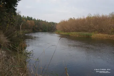 Долина реки Псёл, Полтавская область - YouTube