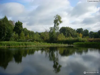 Река Псел (Фото) - treepics.ru