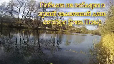 Рыбалка на реке Псел
