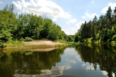 Псел — Вікіпедія