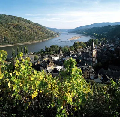 Река Рейн в дюссельдорфе (Германия) Стоковое Изображение - изображение  насчитывающей биографической, город: 181063135