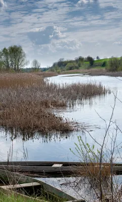 Вода в реке рось в городе Украины г. белая церковь Редакционное Фото -  изображение насчитывающей откройте, хвалить: 192055041