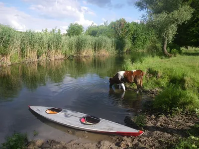 Река Рось от Корсуня-Шевченковского. Байдарочный поход выходного дня:  waterslonique — LiveJournal