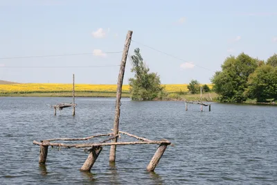 Водный проект «ГП» «Гродненщина синеокая». Река Россь: дочь Беловежской  пущи и спутница Немана