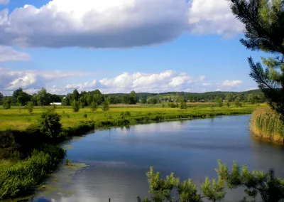 Химикаты попали в реку Рось: на Киевщине перекрыли воду - новости