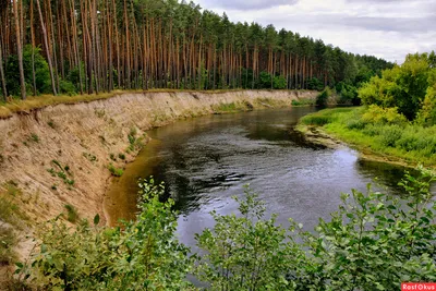 Фото: Река Сейм.... Фотограф путешественник Андрей Rockster. Пейзаж.  Фотосайт Расфокус.ру