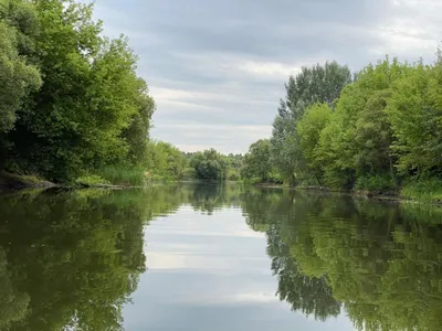 Красоты России - Река Сейм. Сейм — река, протекающая по территории России и  Украины, самый большой левый приток Десны, относится к бассейнам Днепра и  Чёрного моря. Сейм берет начало в России на