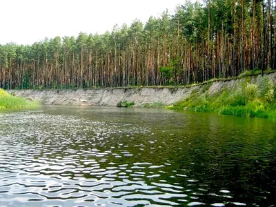 река сейм в Асмолово | Рыльский район | Фотопланета