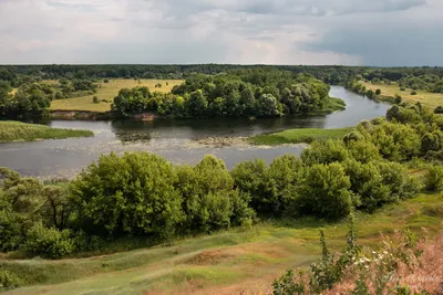 В Курске продолжается реабилитация реки Сейм | 24.08.2019 | Курск -  БезФормата