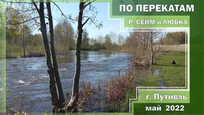 Река Сейм Курская область