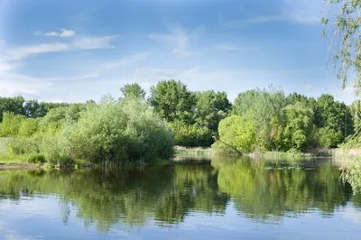 Великие реки России: Сейм – главная водная артерия Курщины - ВОДА РОССИИ